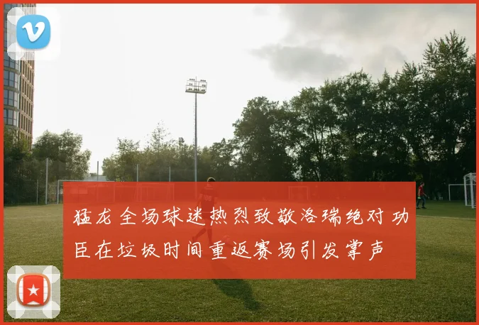 猛龙全场球迷热烈致敬洛瑞绝对功臣在垃圾时间重返赛场引发掌声