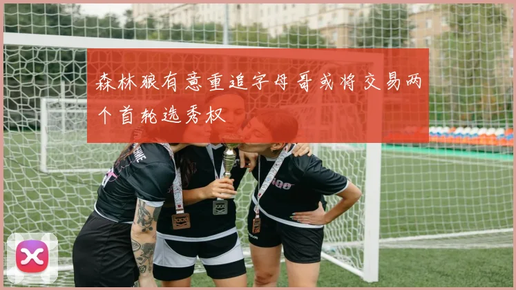森林狼有意重追字母哥或将交易两个首轮选秀权