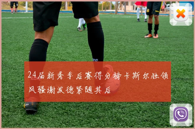 24届新秀季后赛得分榜卡斯尔独领风骚谢泼德紧随其后